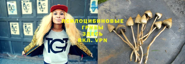 стафф Балабаново