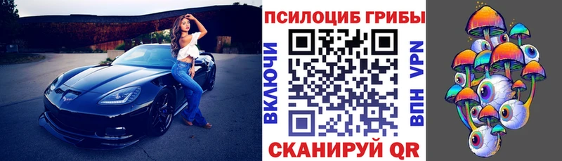 Псилоцибиновые грибы Psilocybe  где продают   Ермолино 